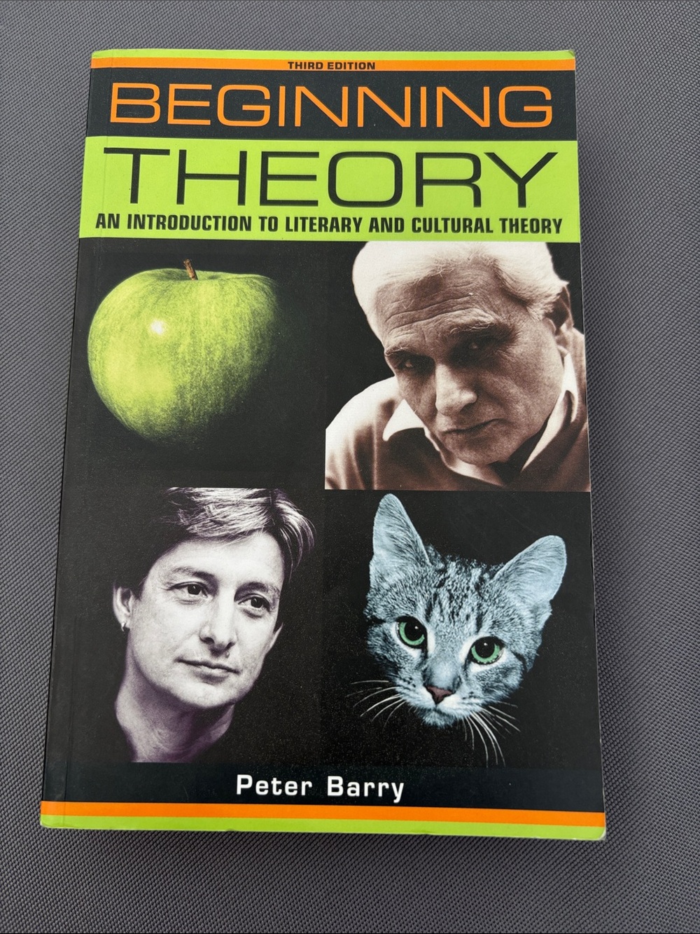 Beginning Theory by Peter Barry -